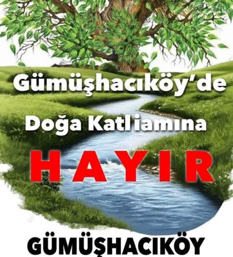 Geçit Yok